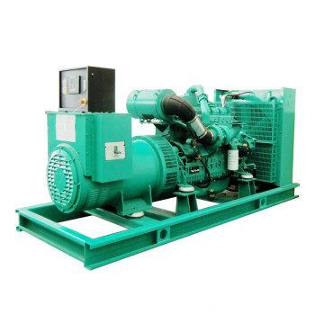 AVR 3 Phase Heavy Duty 250kw 312.5kVA Diesel Genset Price